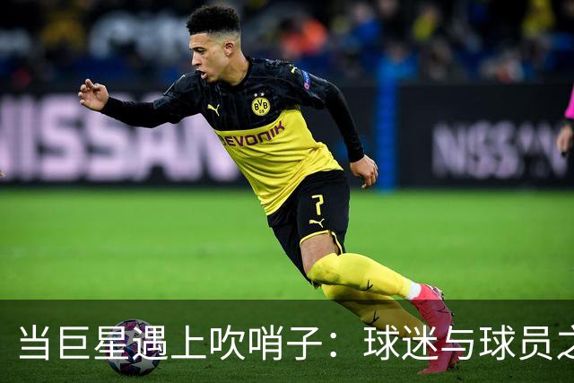 当巨星遇上吹哨子：球迷与球员之间的微妙关系
